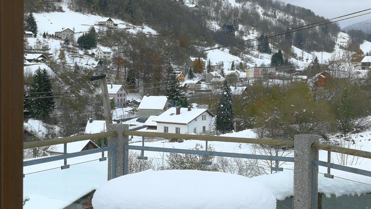 Chalet Charmant A La Bresse Avec Terrasse Et Jardin Cloture 外观 照片